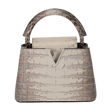 ルイ ヴィトン カプシーヌ MINI サハラ N98156 クロコダイル レディース バッグ 【中古】【bag】