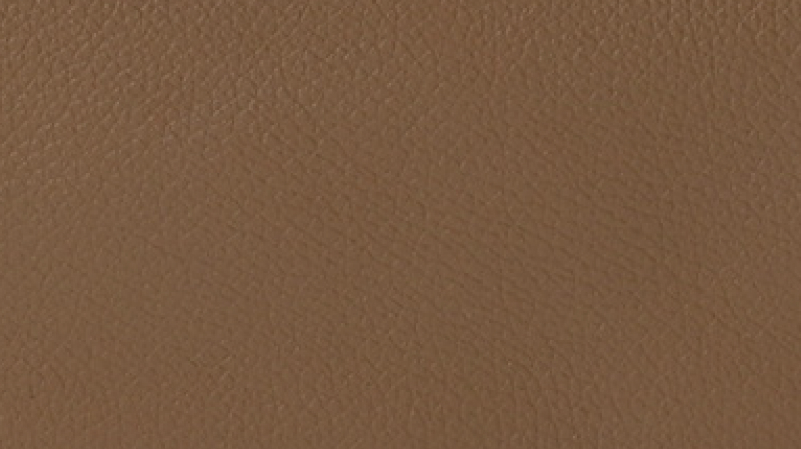 ベージュドゥワイマール