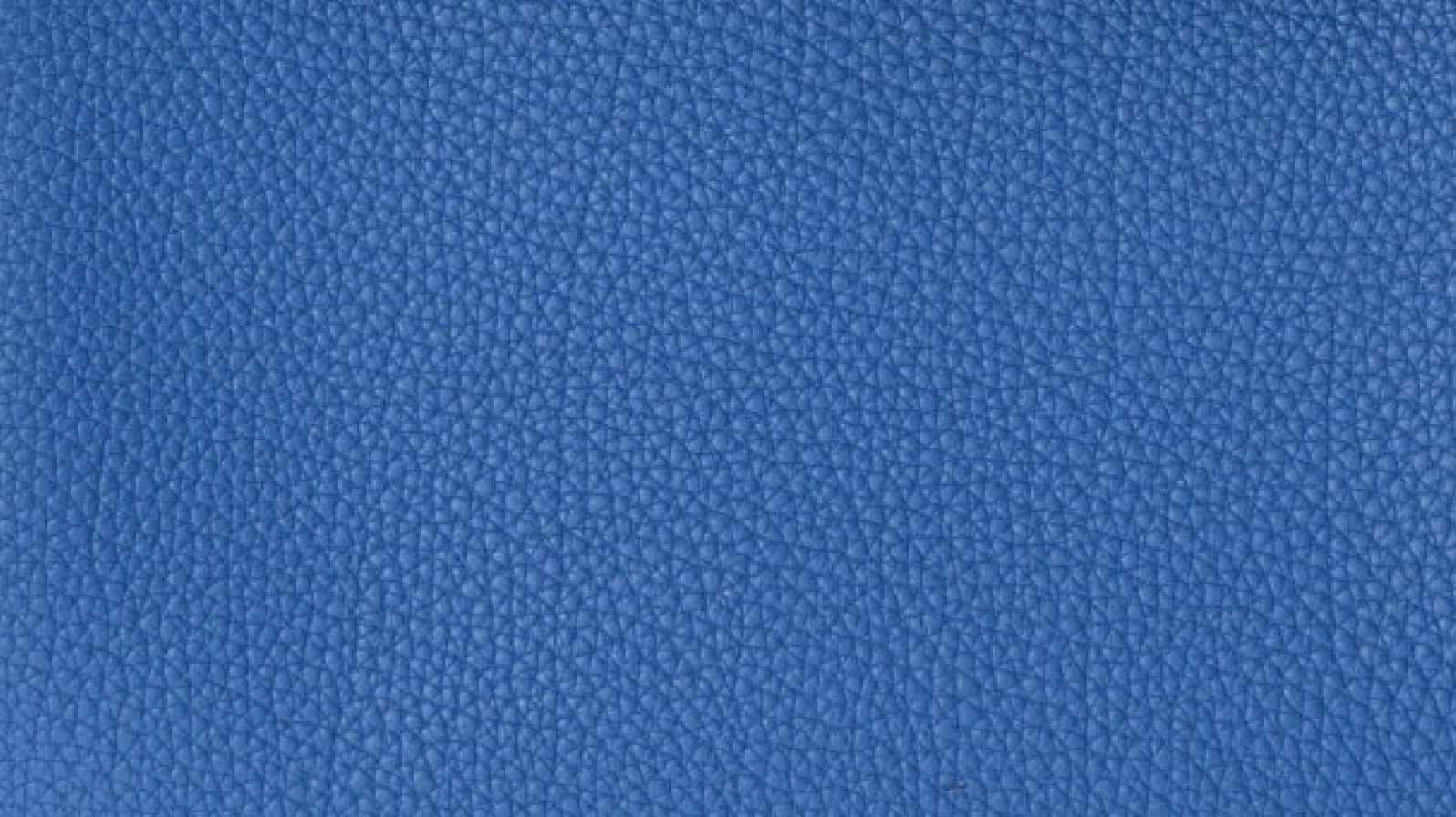 ブルーフランス