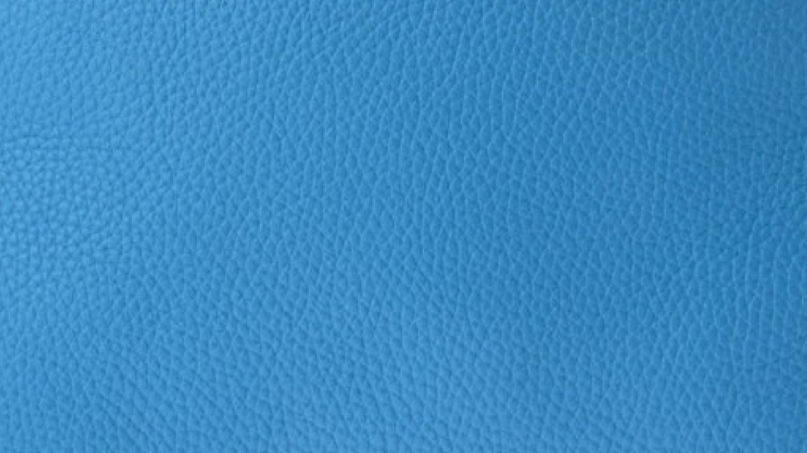 ブルーフリーダ