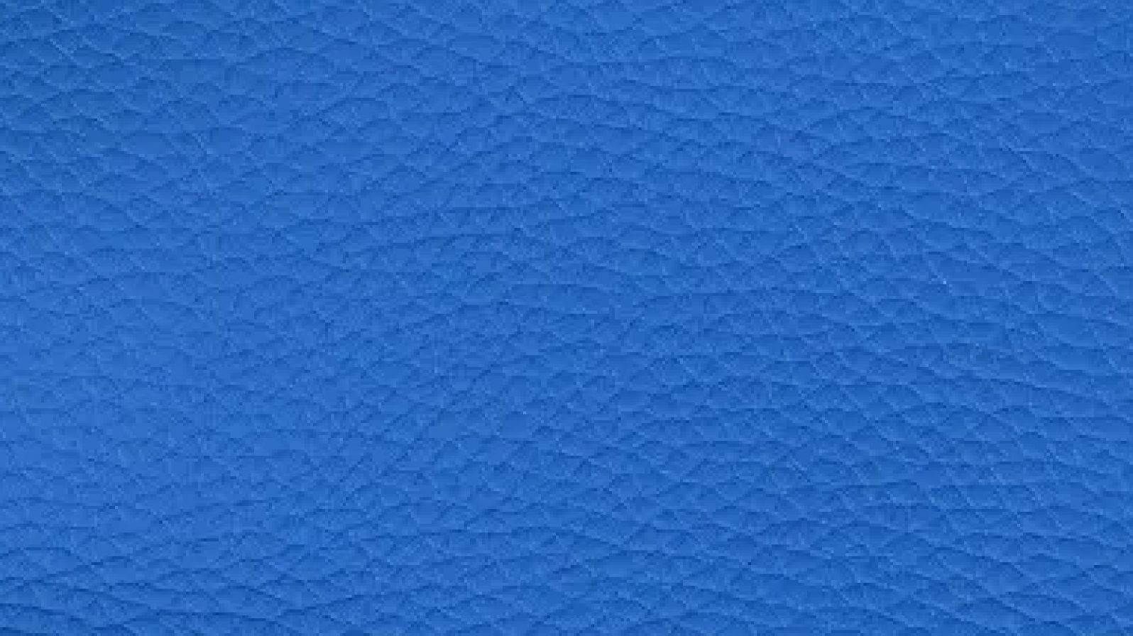 ブルーザンジバル