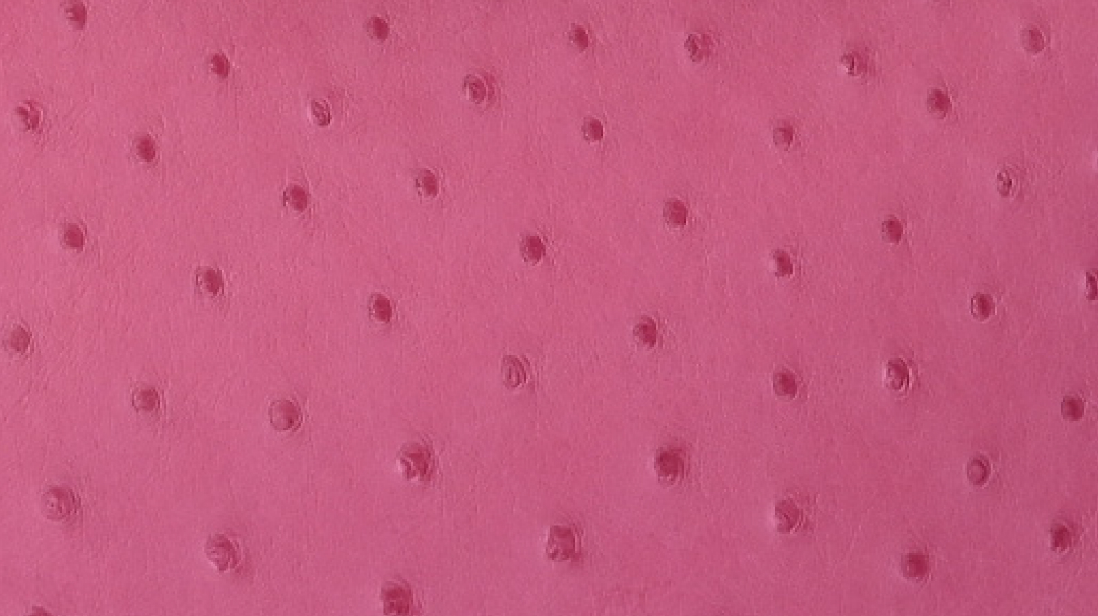 フューシャピンク