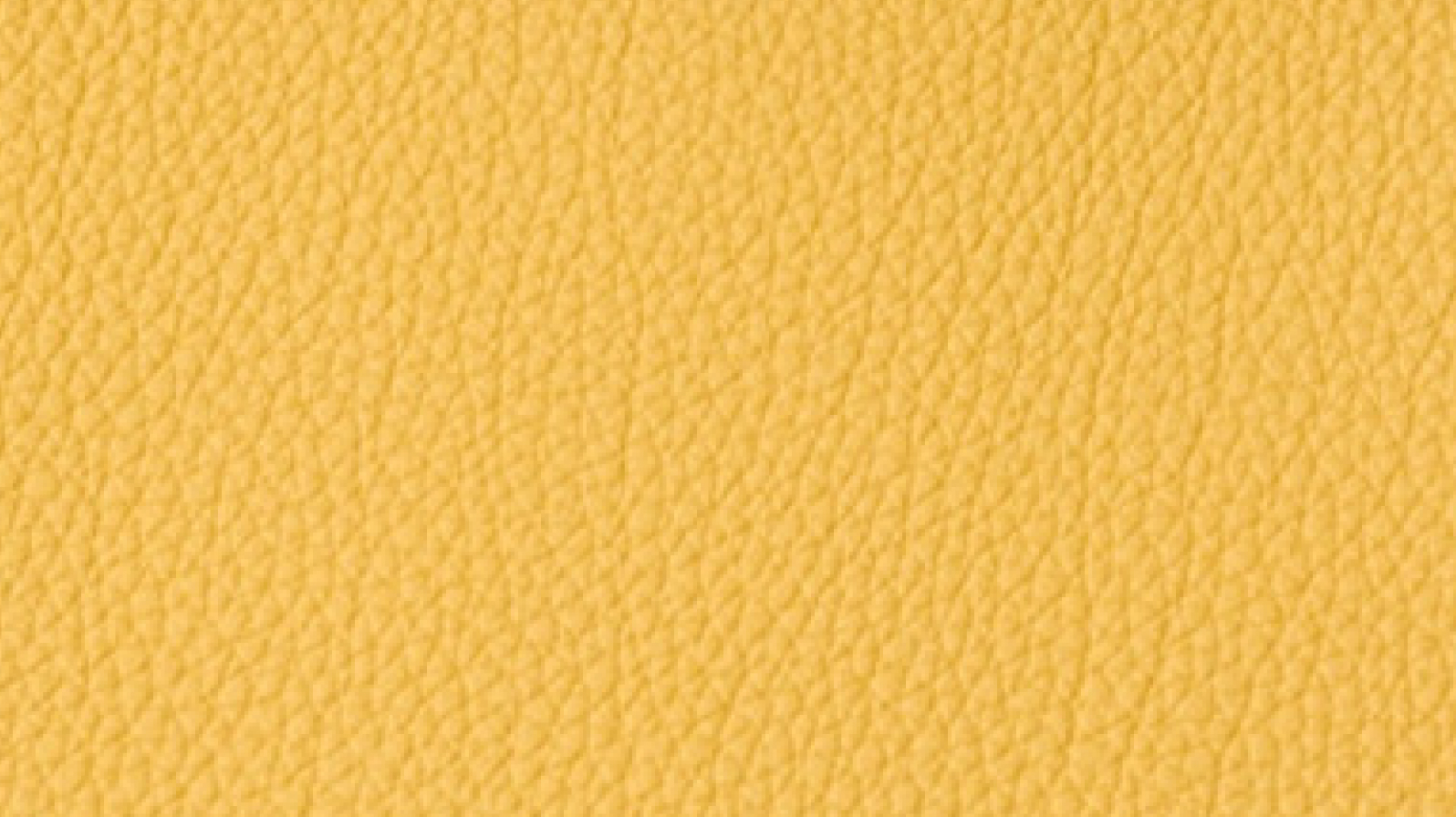 ジョーヌアンブル