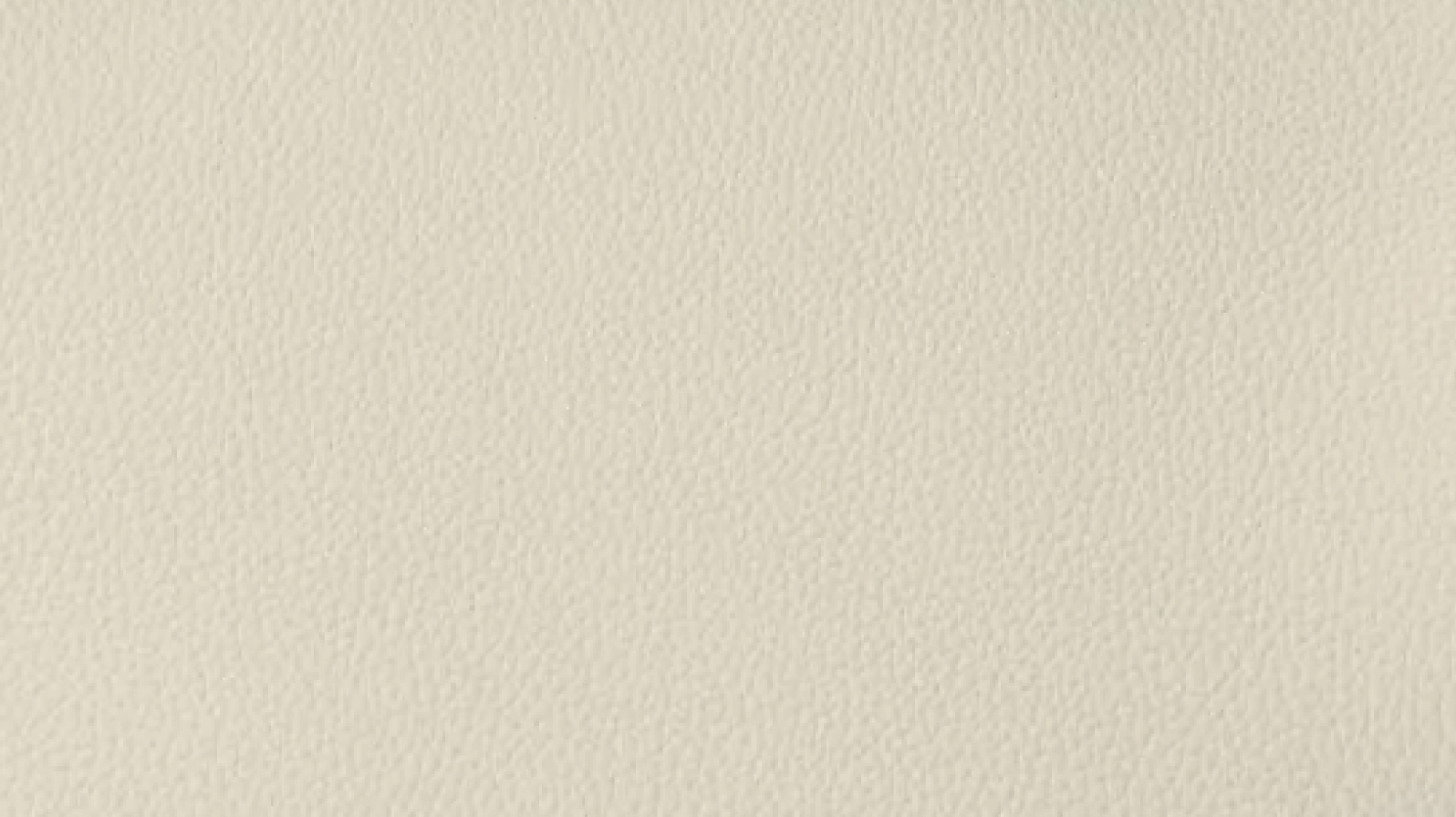 マッシュルーム