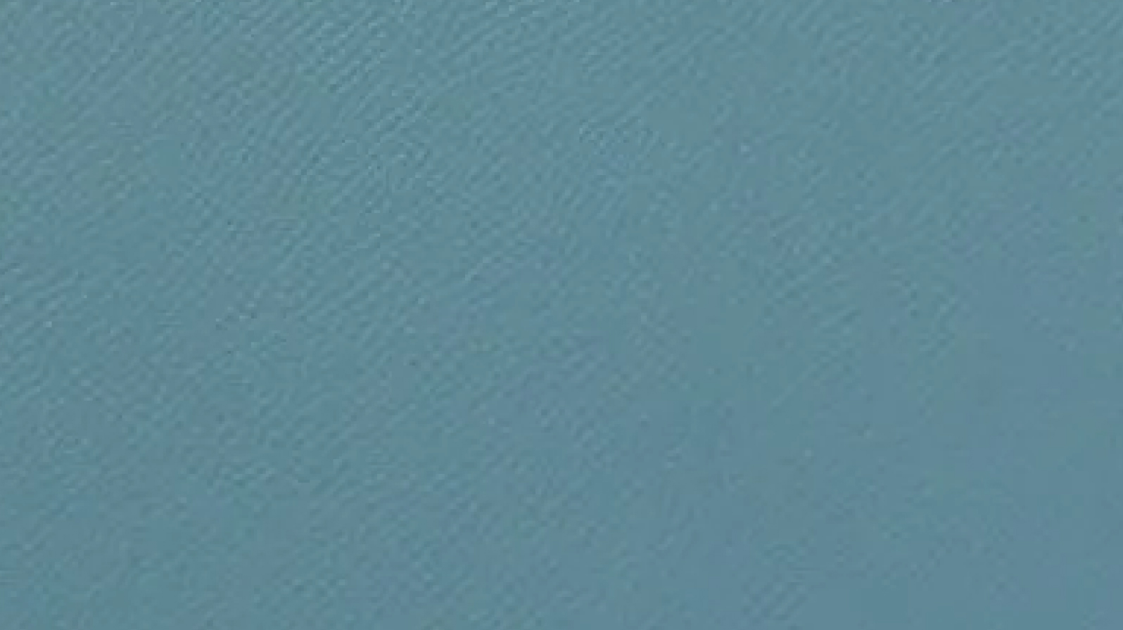 ニューブルージーン