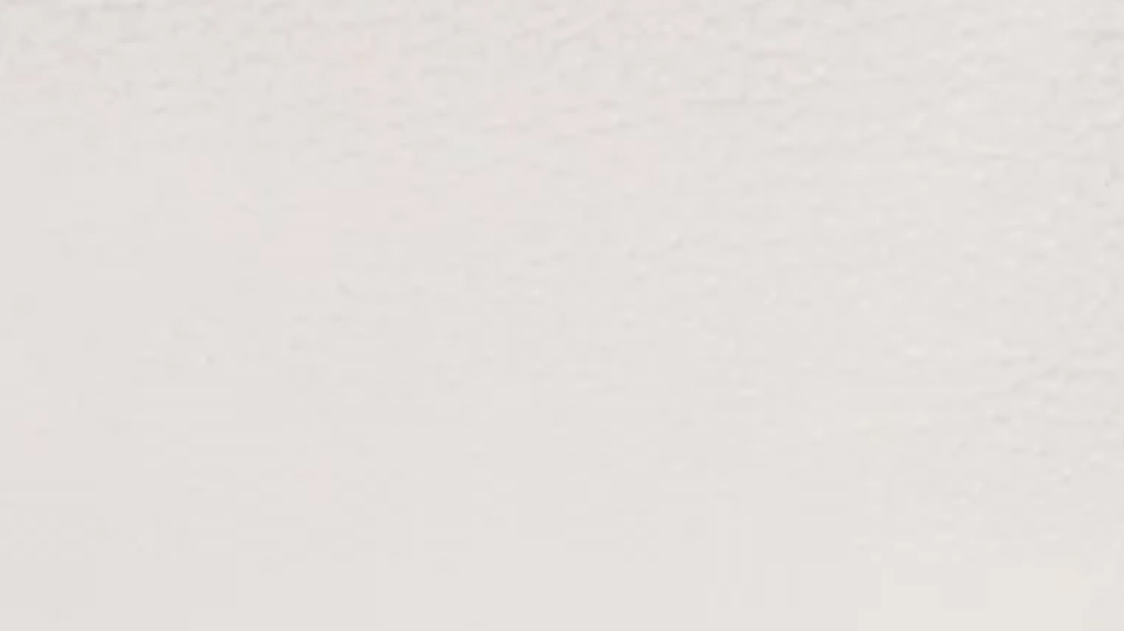 ニューホワイト