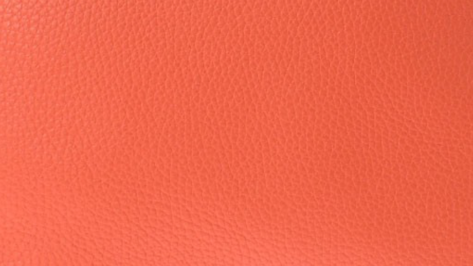 オレンジポピー