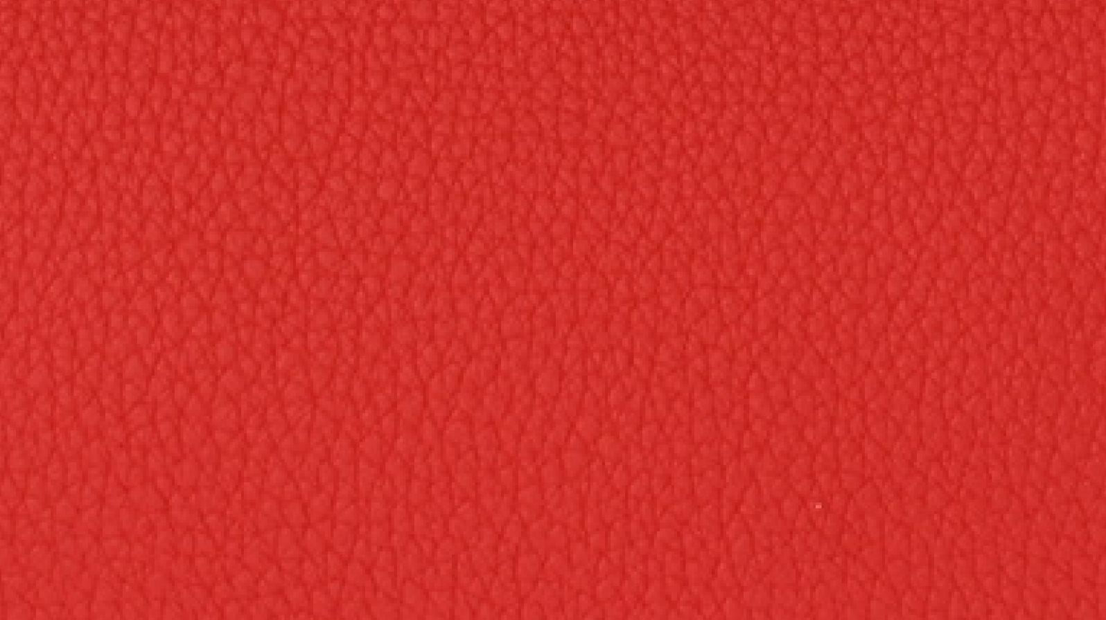 ルージュラデュー