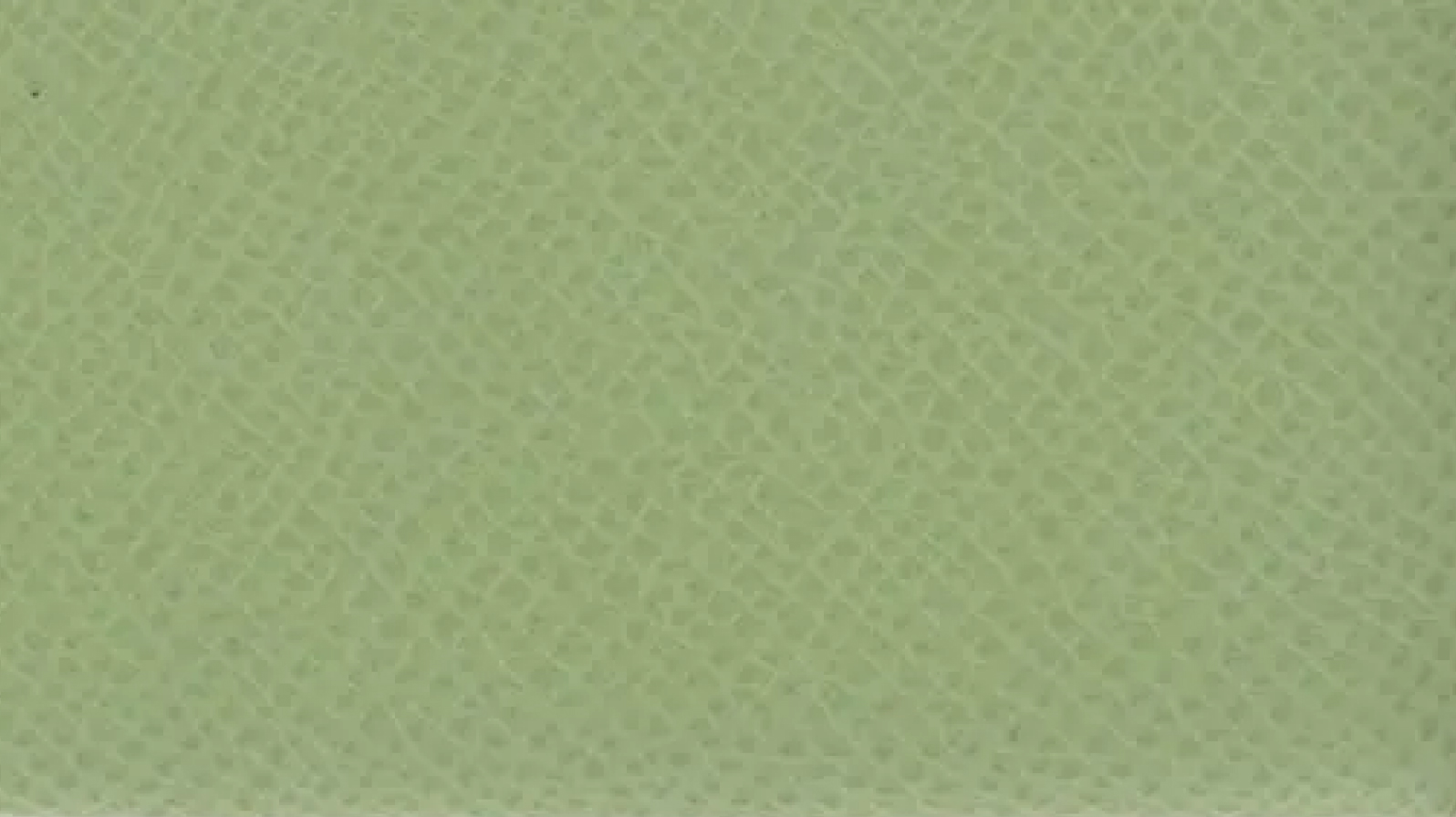 ヴェールクリケット