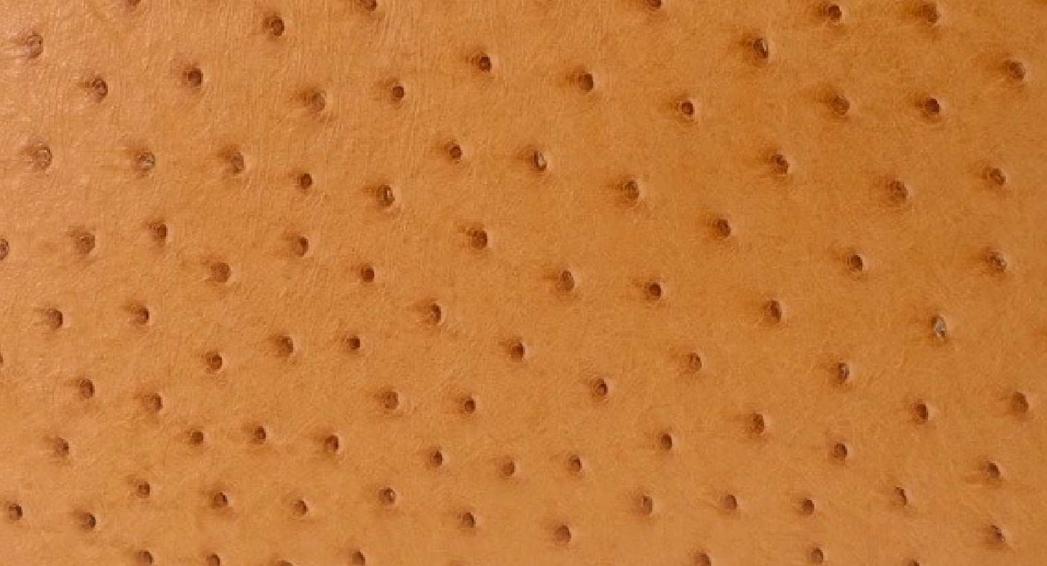 オーストリッチ