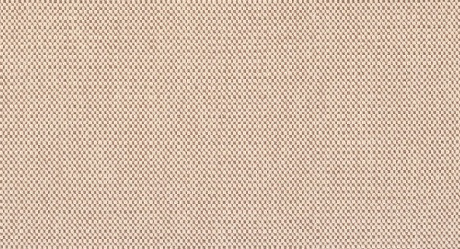 トワルアッシュ